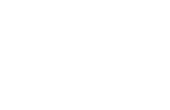 mendes-lobo